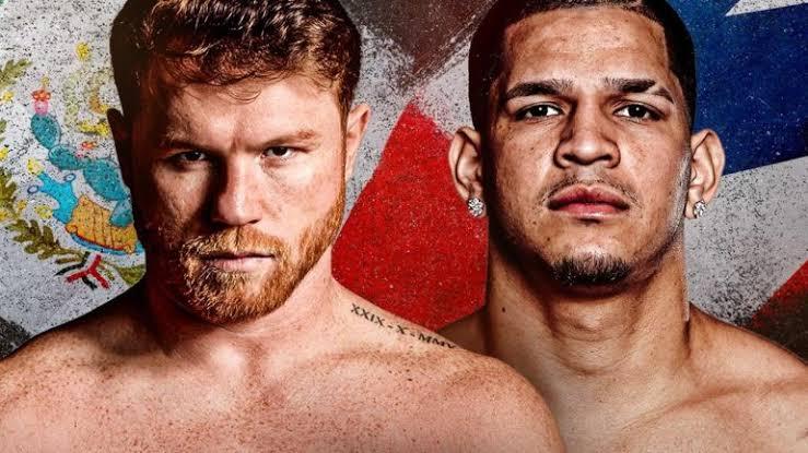 Canelo Alvarez’s 2024 Return: Facing Edgar Berlanga in a High-Stakes Bout Amidst Benavidez Speculation