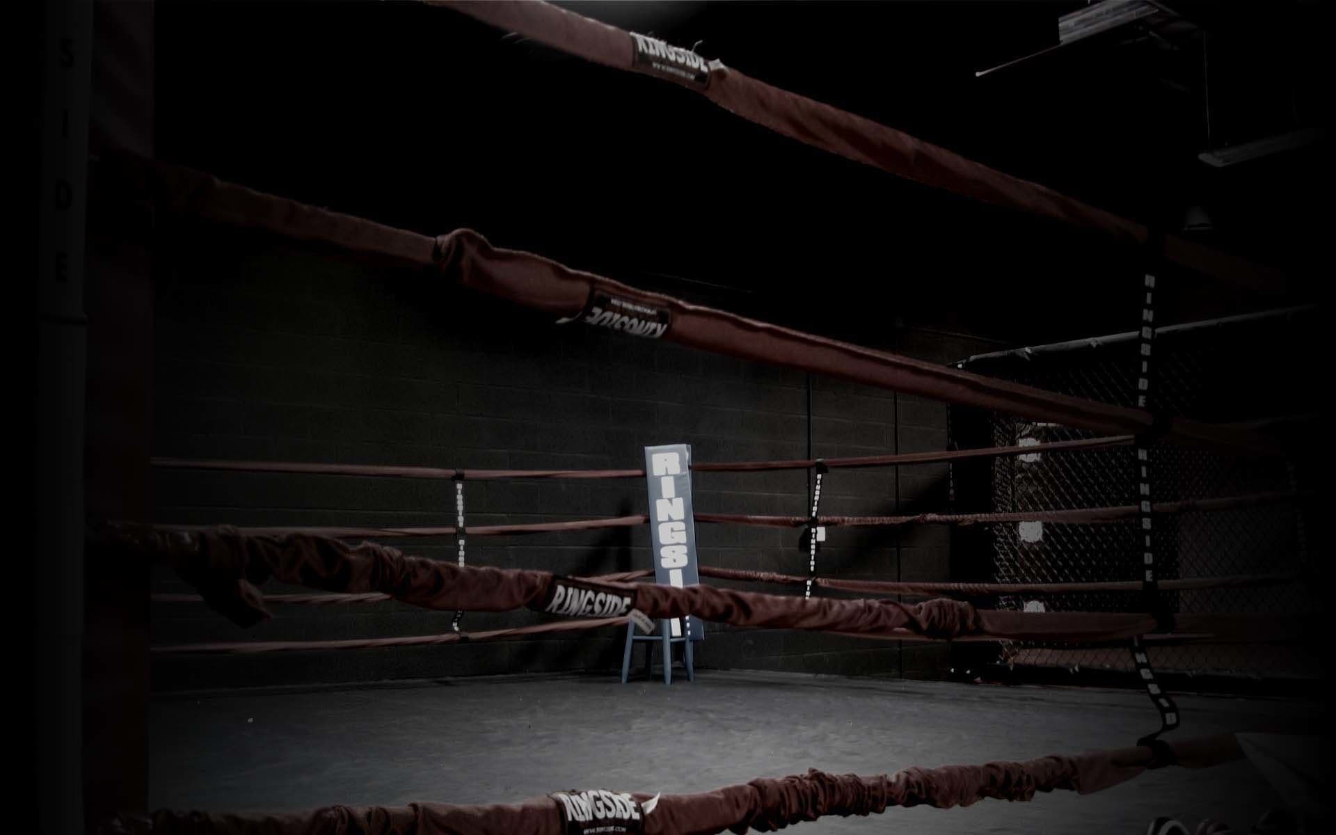 Boxing Gallery